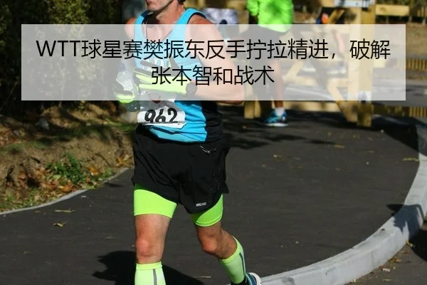 WTT球星赛樊振东反手拧拉精进，破解张本智和战术