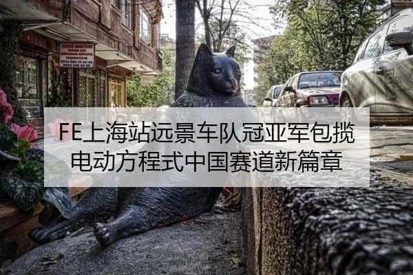 FE上海站远景车队冠亚军包揽 电动方程式中国赛道新篇章